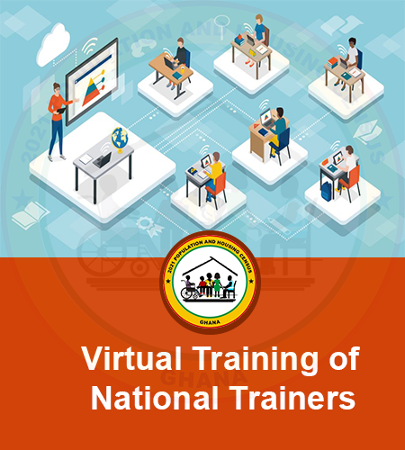 Virtual Training of National Trainers
